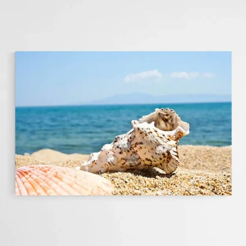 Tableau Coquillages Mer